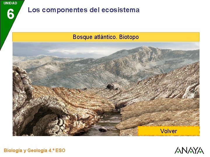 UNIDAD 6 Los componentes del ecosistema Bosque atlántico. Biotopo Volver Biología y Geología 4.