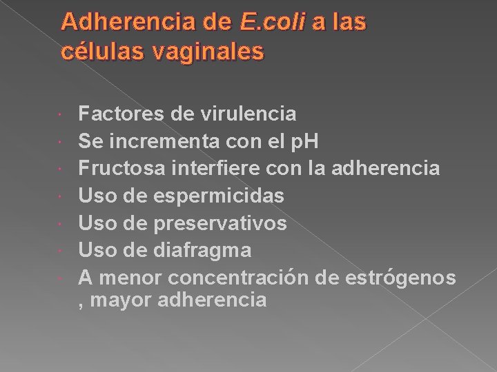 Adherencia de E. coli a las células vaginales Factores de virulencia Se incrementa con