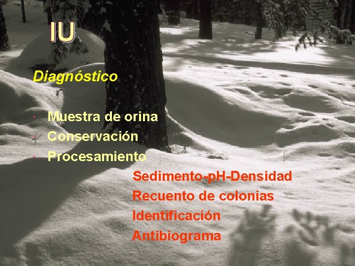 IU Diagnóstico Muestra de orina Conservación Procesamiento Sedimento-p. H-Densidad Recuento de colonias Identificación Antibiograma