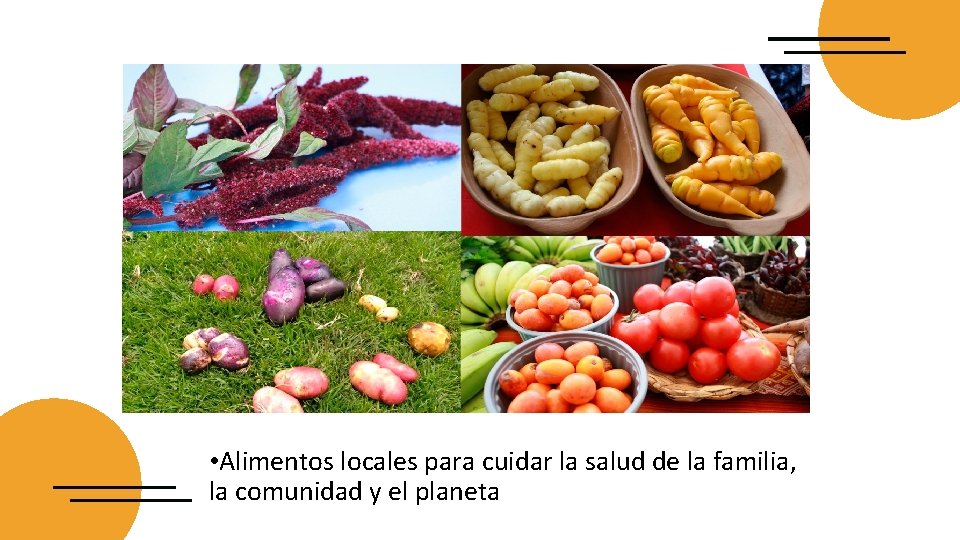  • Alimentos locales para cuidar la salud de la familia, la comunidad y