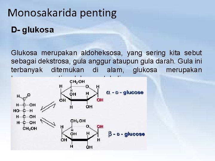 Monosakarida penting D- glukosa Glukosa merupakan aldoheksosa, yang sering kita sebut sebagai dekstrosa, gula