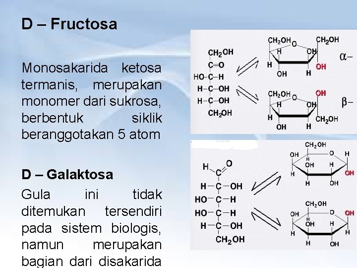 D – Fructosa Monosakarida ketosa termanis, merupakan monomer dari sukrosa, berbentuk siklik beranggotakan 5