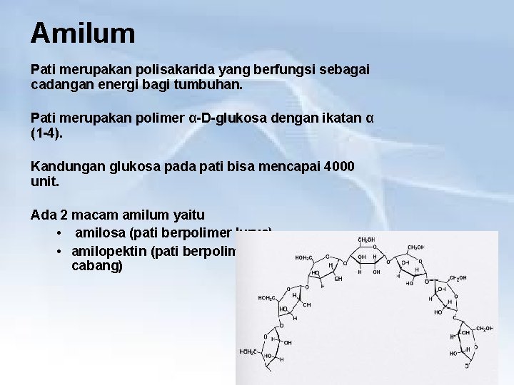 Amilum Pati merupakan polisakarida yang berfungsi sebagai cadangan energi bagi tumbuhan. Pati merupakan polimer