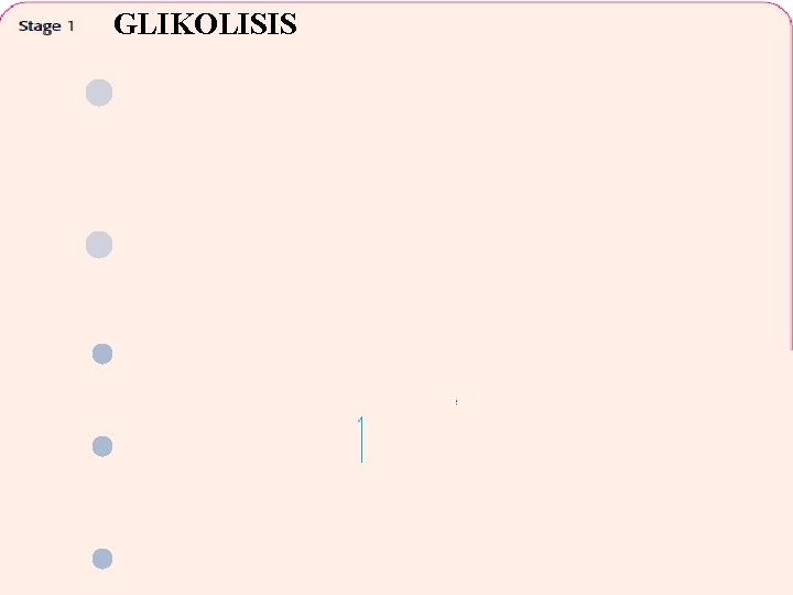 GLIKOLISIS 