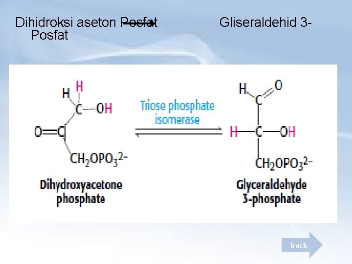 Dihidroksi aseton Posfat Gliseraldehid 3 - back 