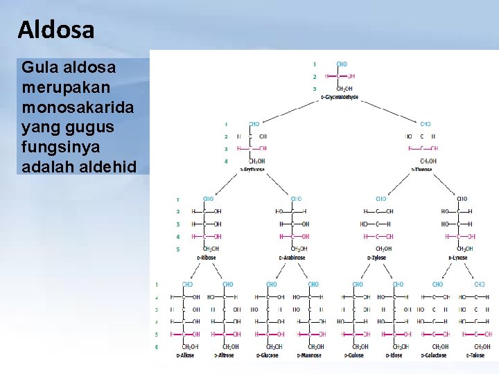 Aldosa Gula aldosa merupakan monosakarida yang gugus fungsinya adalah aldehid 