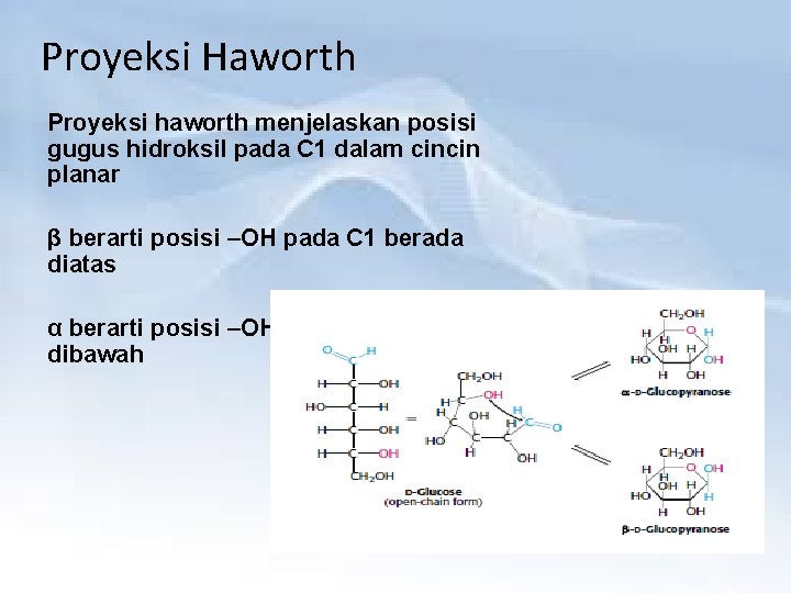 Proyeksi Haworth Proyeksi haworth menjelaskan posisi gugus hidroksil pada C 1 dalam cincin planar