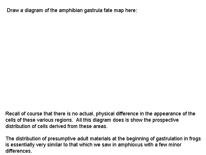 Draw a diagram of the amphibian gastrula fate map here: Recall of course that