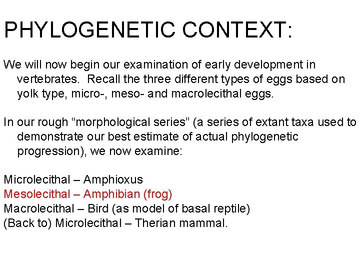 PHYLOGENETIC CONTEXT: We will now begin our examination of early development in vertebrates. Recall