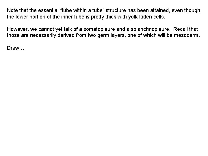 Note that the essential “tube within a tube” structure has been attained, even though