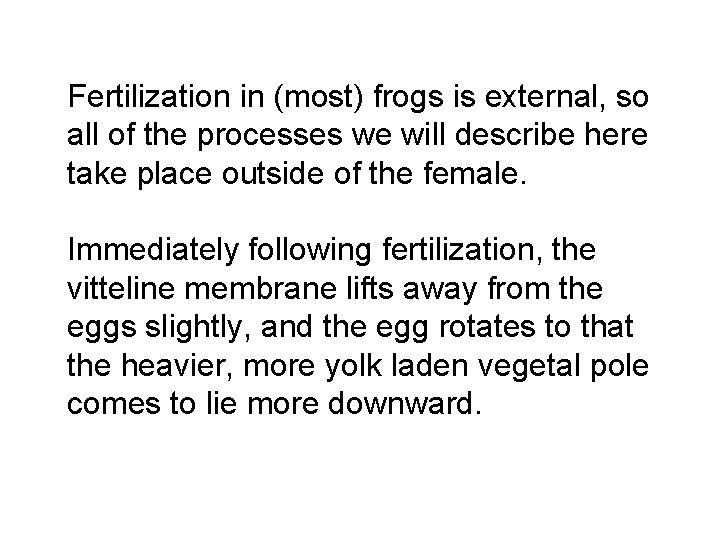 Fertilization in (most) frogs is external, so all of the processes we will describe