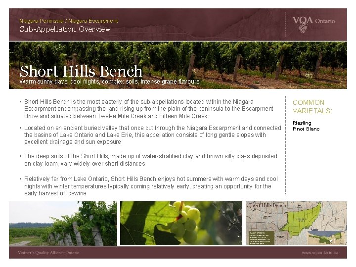 Niagara Peninsula / Niagara Escarpment Sub-Appellation Overview Short Hills Bench Warm sunny days, cool