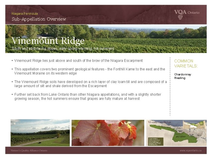 Niagara Peninsula Sub-Appellation Overview Vinemount Ridge South and east-facing slopes, early spring warming, hot