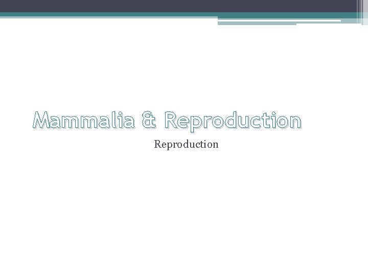 Mammalia & Reproduction 