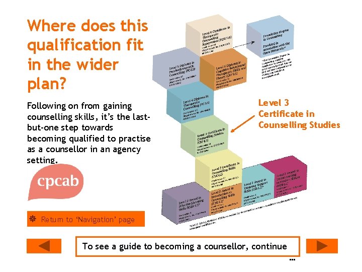 Where does this qualification fit in the wider plan? Following on from gaining counselling