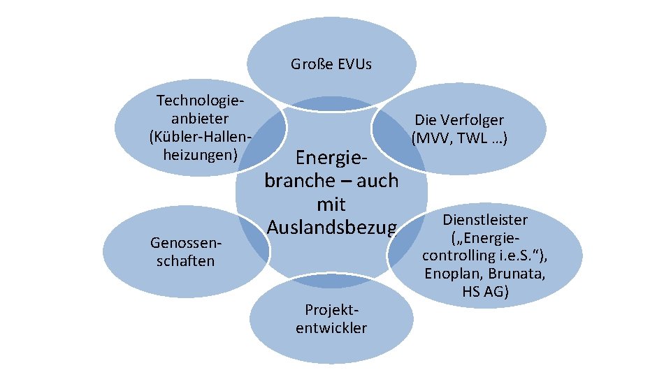 Große EVUs Technologieanbieter (Kübler-Hallenheizungen) Genossenschaften Energiebranche – auch mit Auslandsbezug Projektentwickler Die Verfolger (MVV,