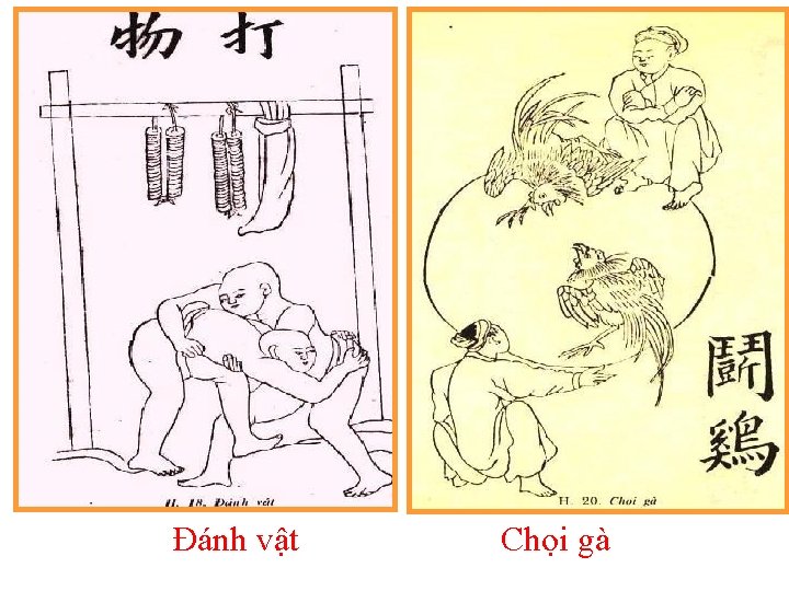 Đánh vật Chọi gà 