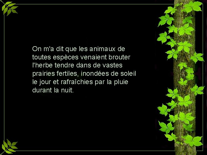 On m'a dit que les animaux de toutes espèces venaient brouter l'herbe tendre dans