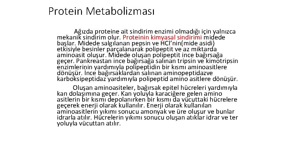 Protein Metabolizması Ağızda proteine ait sindirim enzimi olmadığı için yalnızca mekanik sindirim olur. Proteinin