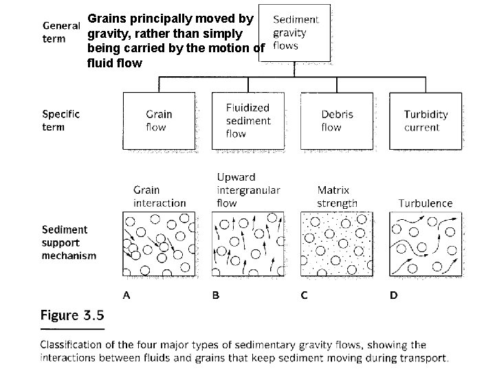 Grains principally moved by gravity, rather than simply being carried by the motion of