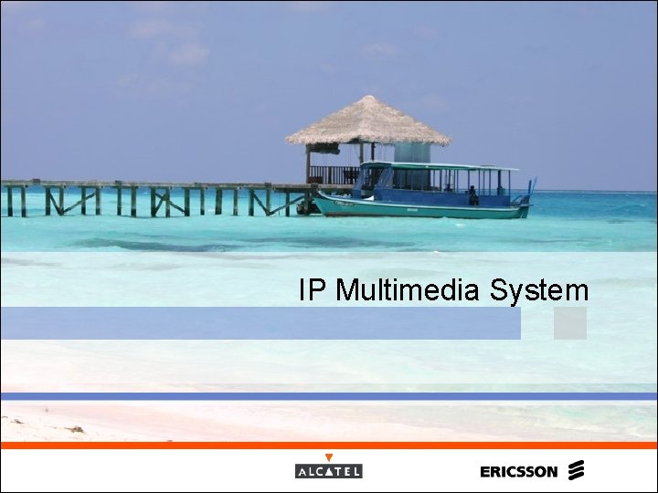 IP Multimedia System 
