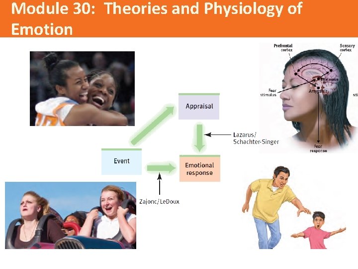 Module 30: Theories and Physiology of Emotion 