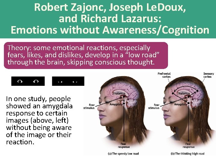 Robert Zajonc, Joseph Le. Doux, and Richard Lazarus: Emotions without Awareness/Cognition Theory: some emotional