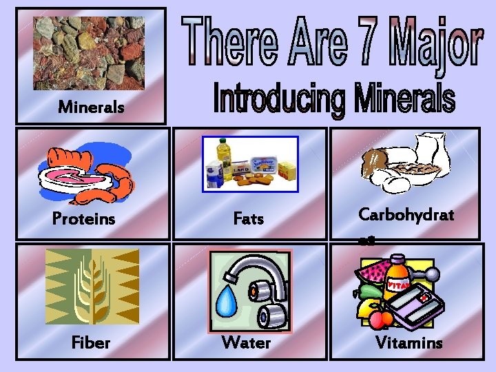 Minerals Proteins Fiber Fats Carbohydrat es Water Vitamins 