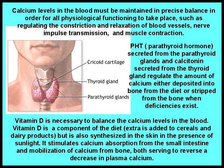 Calcium levels in the blood must be maintained in precise balance in order for