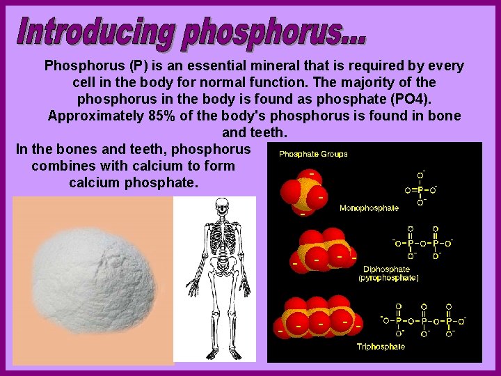 Phosphorus (P) is an essential mineral that is required by every cell in the
