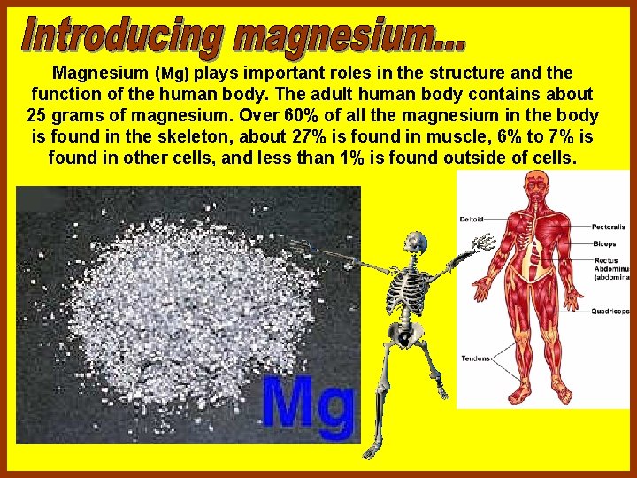 Magnesium (Mg) plays important roles in the structure and the function of the human