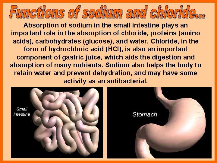 Absorption of sodium in the small intestine plays an important role in the absorption