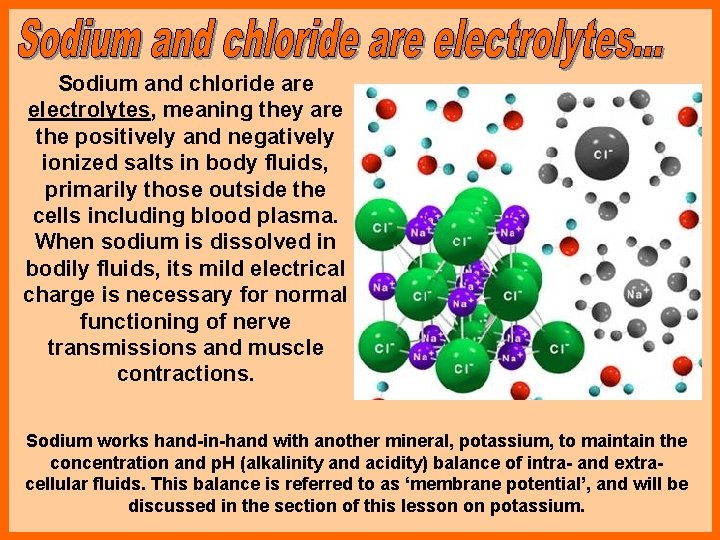 Sodium and chloride are electrolytes, meaning they are the positively and negatively ionized salts