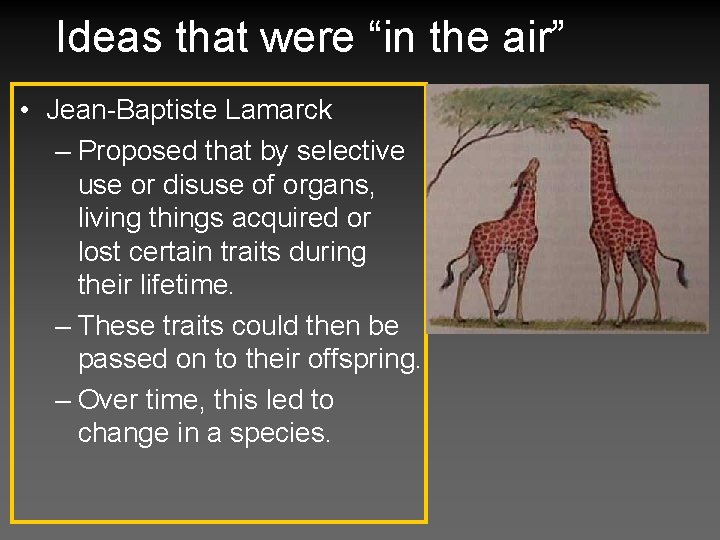 Ideas that were “in the air” • Jean-Baptiste Lamarck – Proposed that by selective