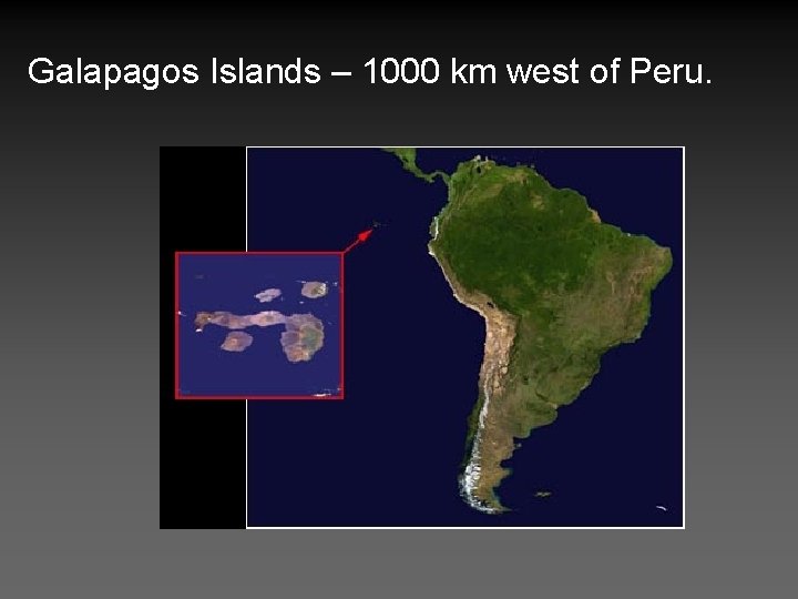 Galapagos Islands – 1000 km west of Peru. 