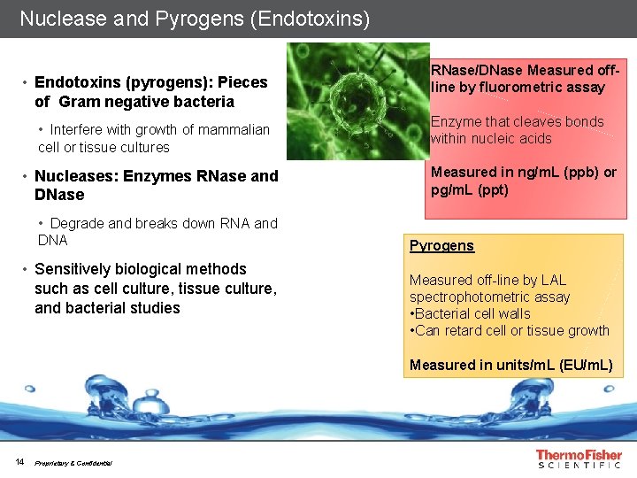 Nuclease and Pyrogens (Endotoxins) • Endotoxins (pyrogens): Pieces of Gram negative bacteria • Interfere