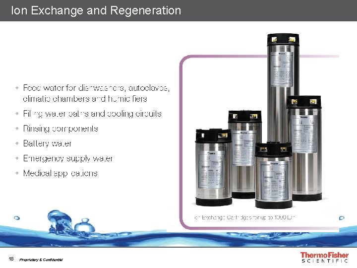 Ion Exchange and Regeneration 18 Proprietary & Confidential 