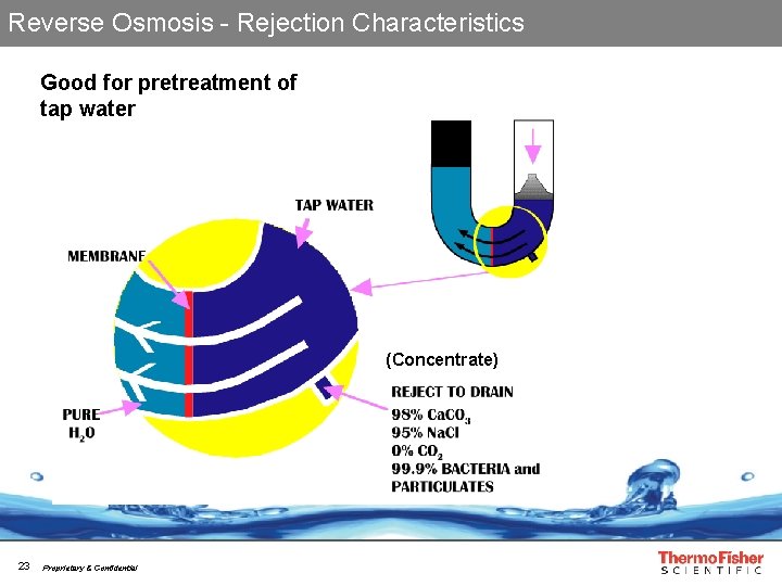 Reverse Osmosis - Rejection Characteristics Good for pretreatment of tap water (Concentrate) 23 Proprietary