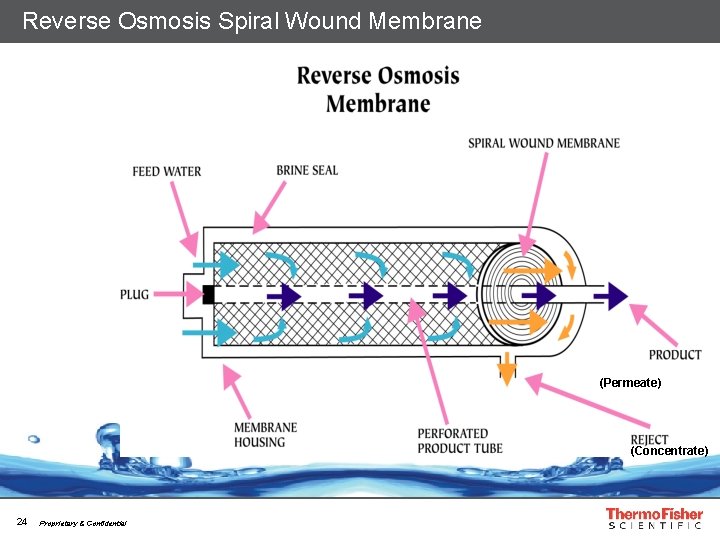 Reverse Osmosis Spiral Wound Membrane (Permeate) (Concentrate) 24 Proprietary & Confidential 