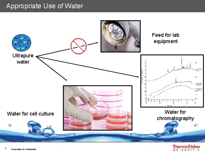 Appropriate Use of Water Feed for lab equipment Ultrapure water Water for cell culture