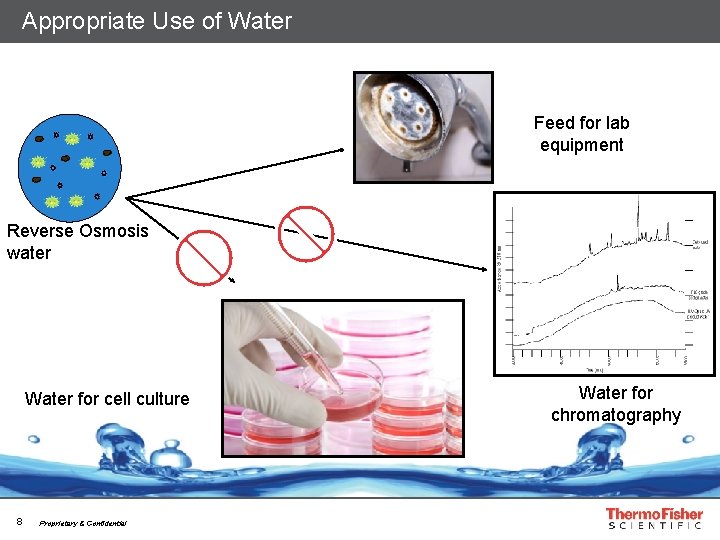 Appropriate Use of Water Feed for lab equipment Reverse Osmosis water Water for cell