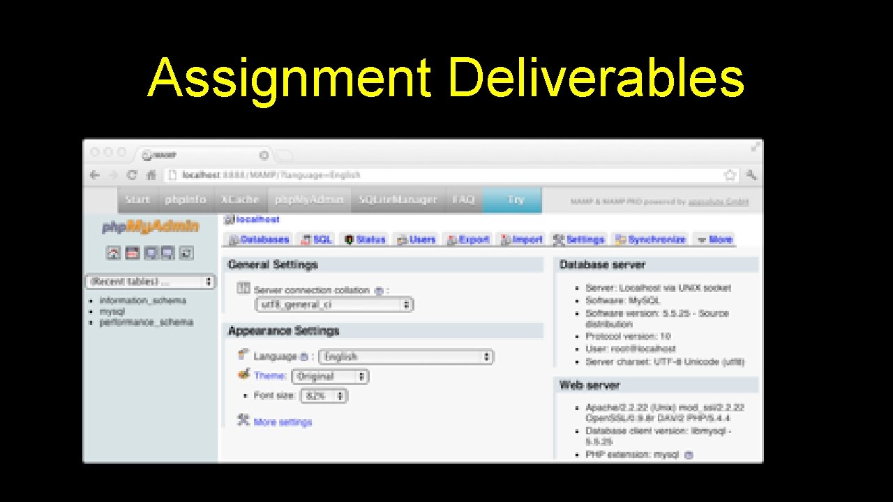 Assignment Deliverables 