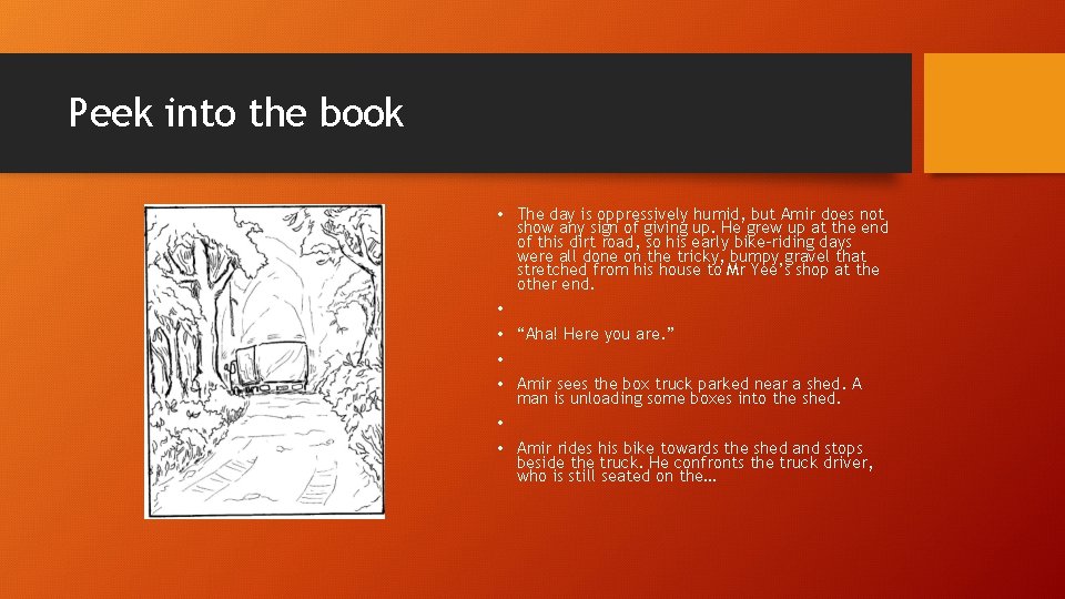 Peek into the book • The day is oppressively humid, but Amir does not