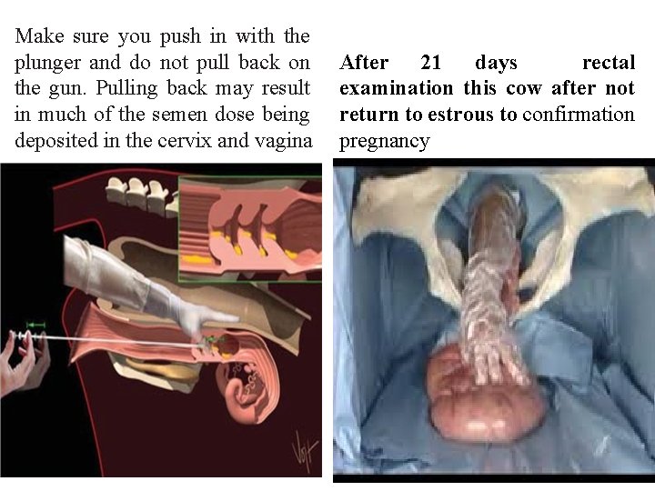 Make sure you push in with the plunger and do not pull back on