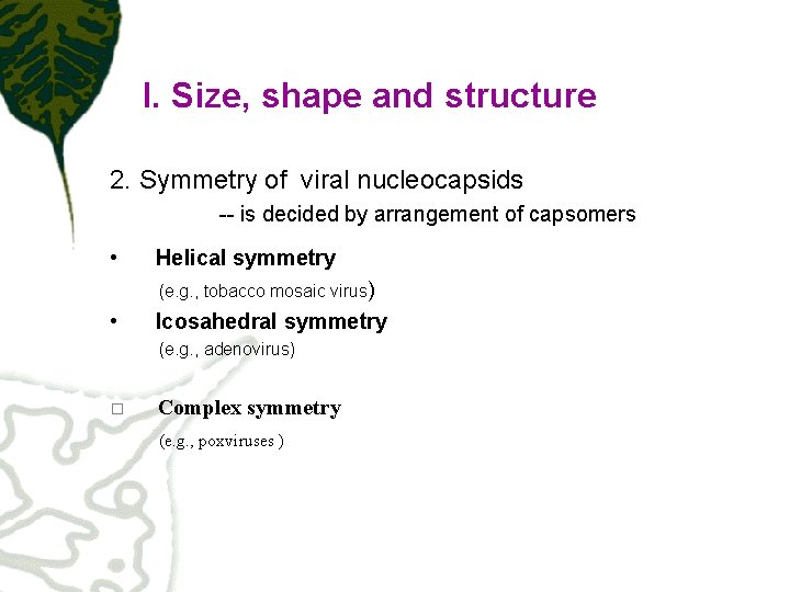 I. Size, shape and structure 2. Symmetry of viral nucleocapsids -- is decided by