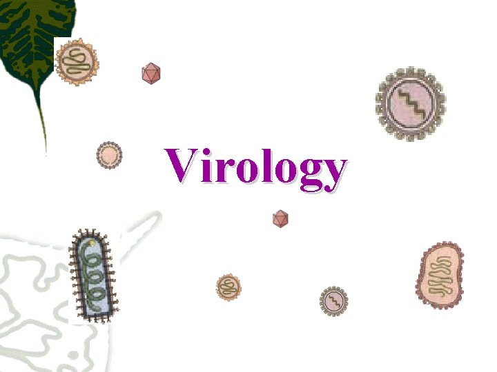 Virology 