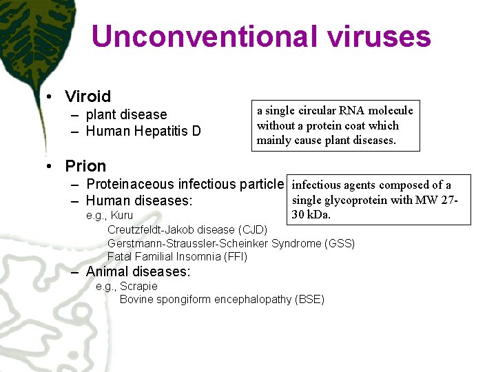 Unconventional viruses • Viroid – plant disease – Human Hepatitis D a single circular
