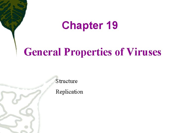 Chapter 19 General Properties of Viruses Structure Replication 