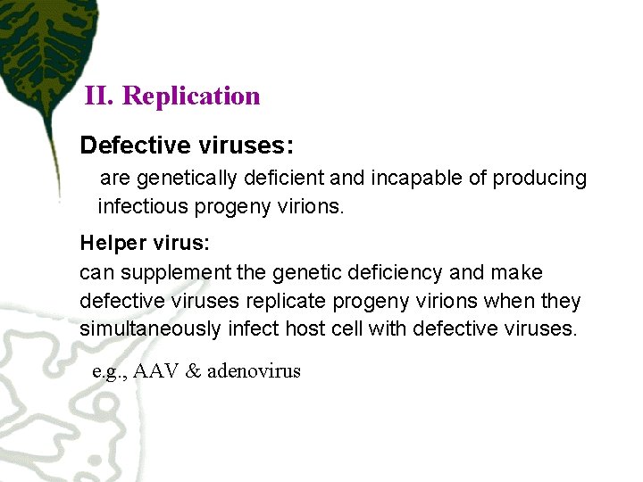 II. Replication Defective viruses: are genetically deficient and incapable of producing infectious progeny virions.