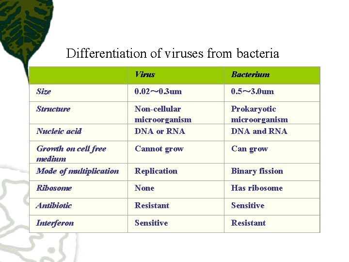 Differentiation of viruses from bacteria Virus Bacterium Size 0. 02～ 0. 3 um 0.